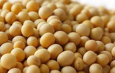 海关总署：7月我国稀土出口量、大豆进口量环比增超三成 