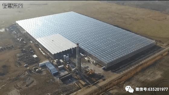 智慧温室大棚监控系统在生产中的优势
