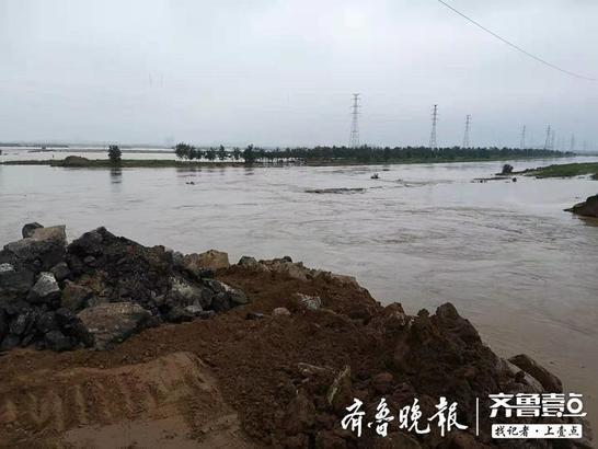 寿光北弥河羊口镇决口处，大型机械奋力堵口，今夜有望堵上缺口
