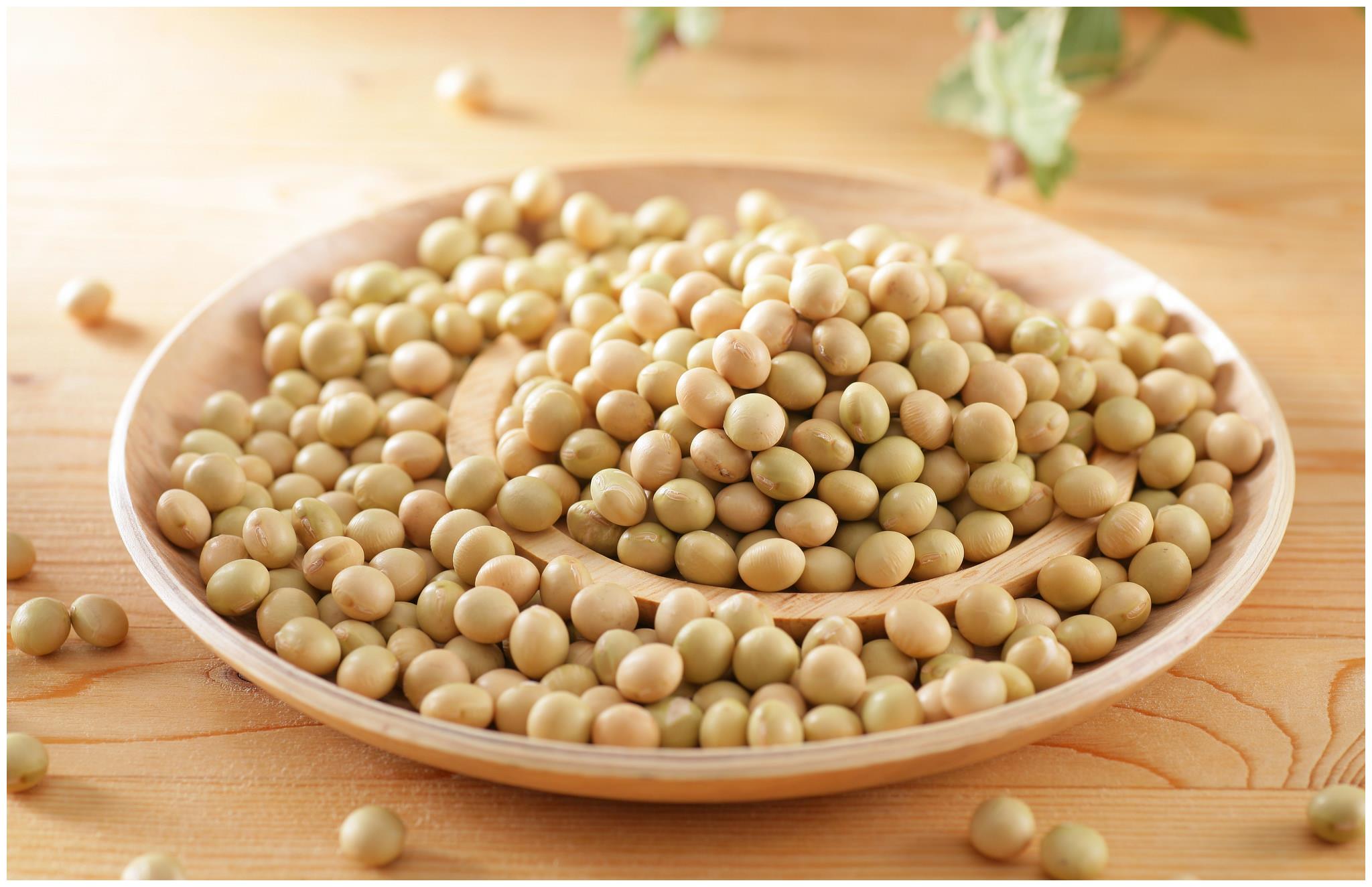 大豆制品富含不少的营养，怎样做会好吃呢？