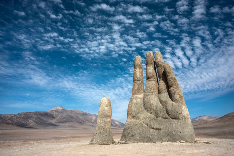 沙漠中最霸气的大树，四周没有水资源，却整整活了500多年