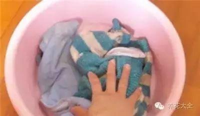 羽绒服、毛呢大衣太难洗？教你一招，比干洗店洗的还干净！