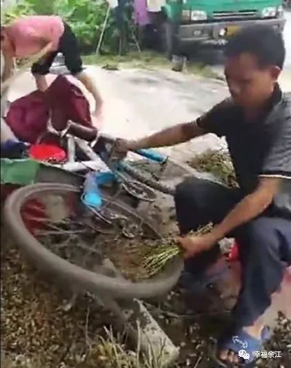 单车轮摘花生！这位余江农民太聪明了！去看看究竟