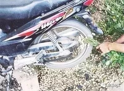 单车轮摘花生！这位余江农民太聪明了！去看看究竟