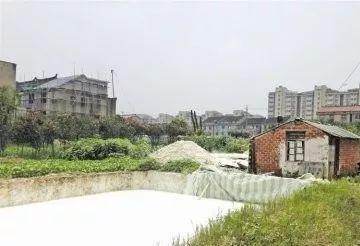「鲁西南记忆」石灰池煮鸡蛋（朗读，梁雅）