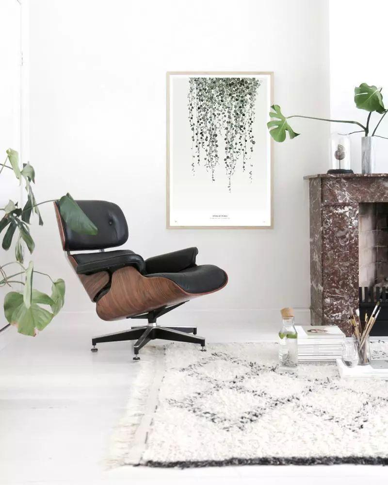 客厅的盆栽植物养护注意8个技巧，很少还会有人将它们养死