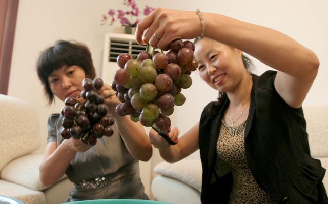 中秋将至，教你一招这样酿出来的葡萄酒甘醇好喝，不输法国进口