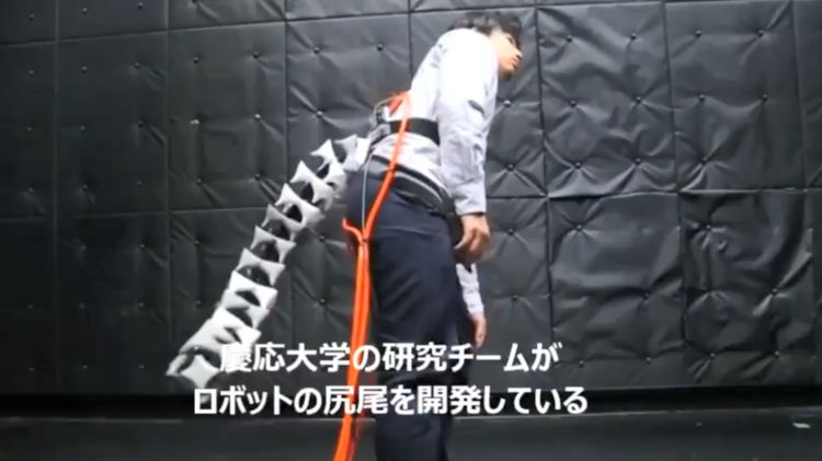 也许进化有点错 日本庆应大学新研发机器尾巴辅助平衡