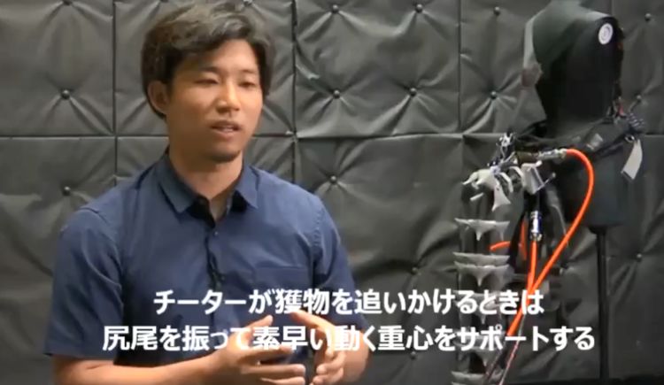 也许进化有点错 日本庆应大学新研发机器尾巴辅助平衡