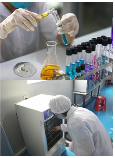“科学+健康” 莫莫塔宠物用品给予爱宠双重呵护
