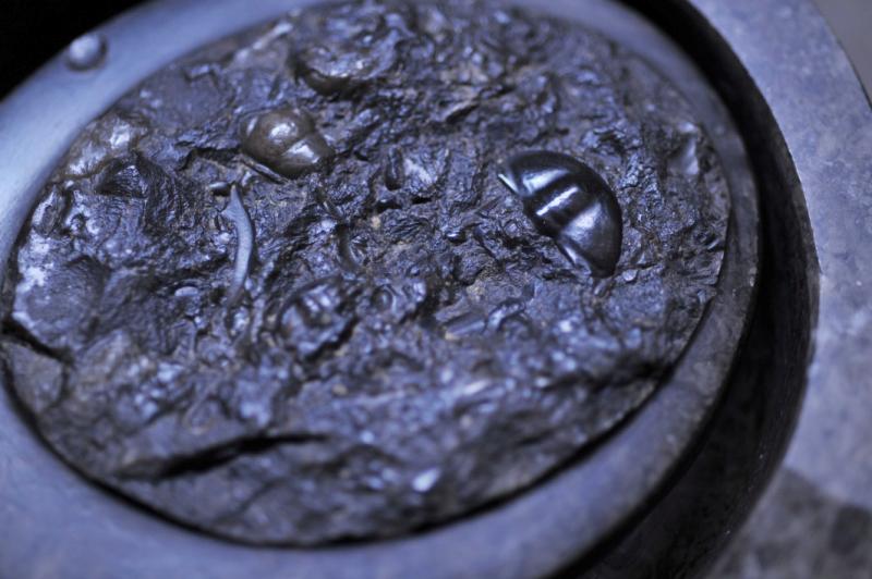 一锤子砸出了个古化石，泰安一八旬老翁的石雕传奇