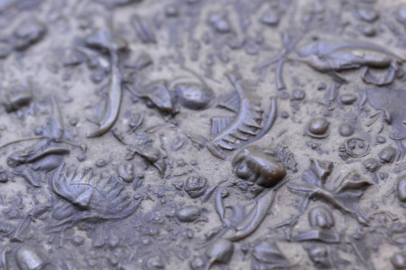 一锤子砸出了个古化石，泰安一八旬老翁的石雕传奇