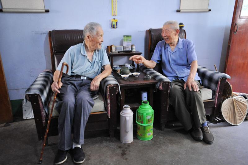 一锤子砸出了个古化石，泰安一八旬老翁的石雕传奇