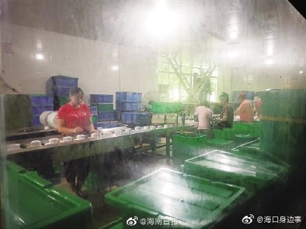 碗洁难保！海口部分消毒餐具卫生堪忧