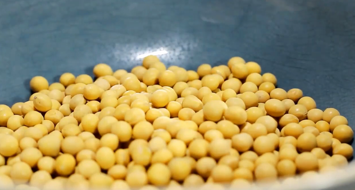 最新，定下370万吨大豆目标后，这一产业中国或为俄罗斯创收768亿