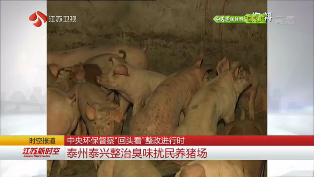 中央环保督察“回头看”整改进行时 泰州泰兴整治臭味扰民养猪场