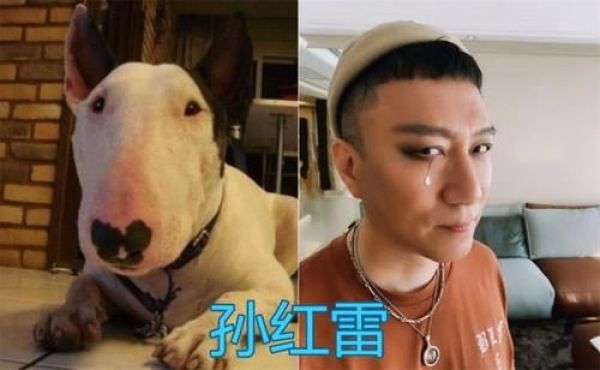 那些撞脸明星的动物们，朱亚文还能忍，看到易烊千玺简直是神似