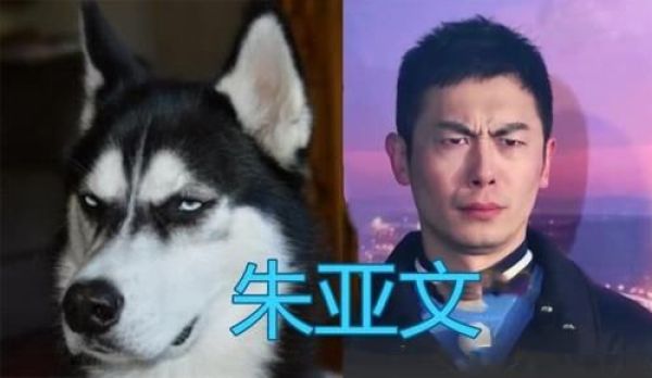 那些撞脸明星的动物们，朱亚文还能忍，看到易烊千玺简直是神似