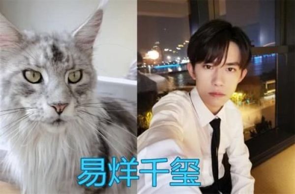 那些撞脸明星的动物们，朱亚文还能忍，看到易烊千玺简直是神似