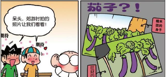 呆漫画：旺财“好玩游戏”害了呆头？呆头：网购真的有风险