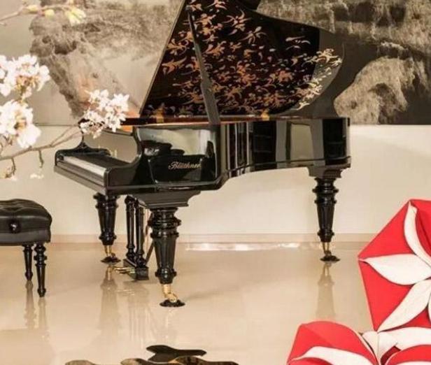 陈数晒出自己家的豪宅,客厅钢琴价值百万,地面都是铺大理石的