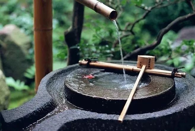 干货收藏 | 花园水景设计养护大全，让你的花园更灵动