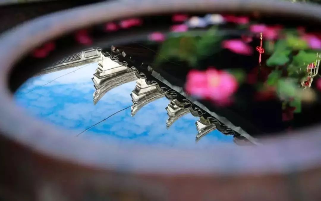 干货收藏 | 花园水景设计养护大全，让你的花园更灵动