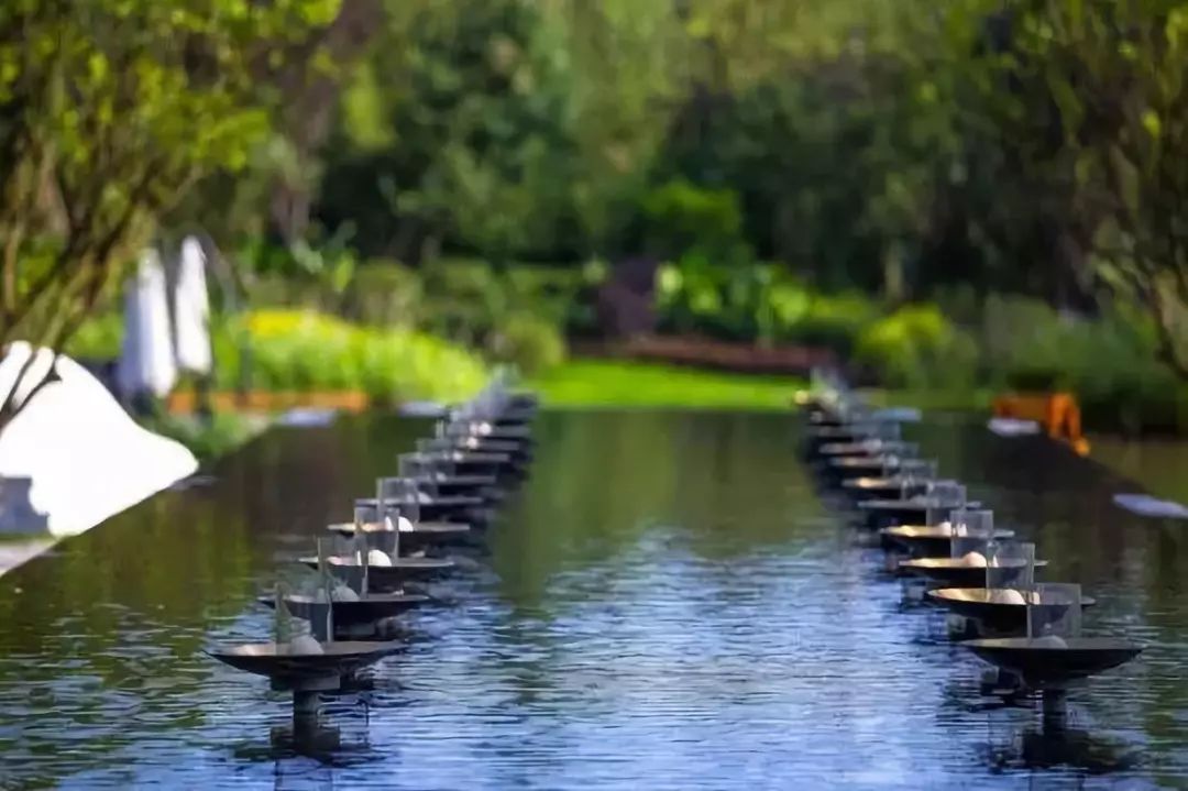 干货收藏 | 花园水景设计养护大全，让你的花园更灵动
