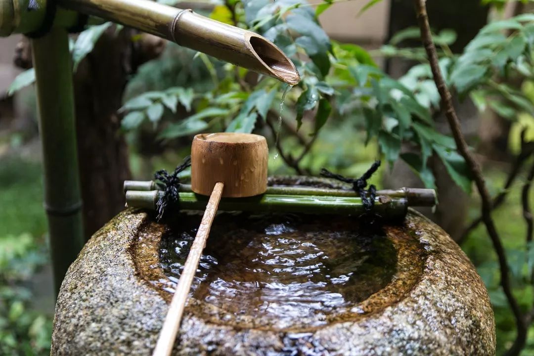 干货收藏 | 花园水景设计养护大全，让你的花园更灵动