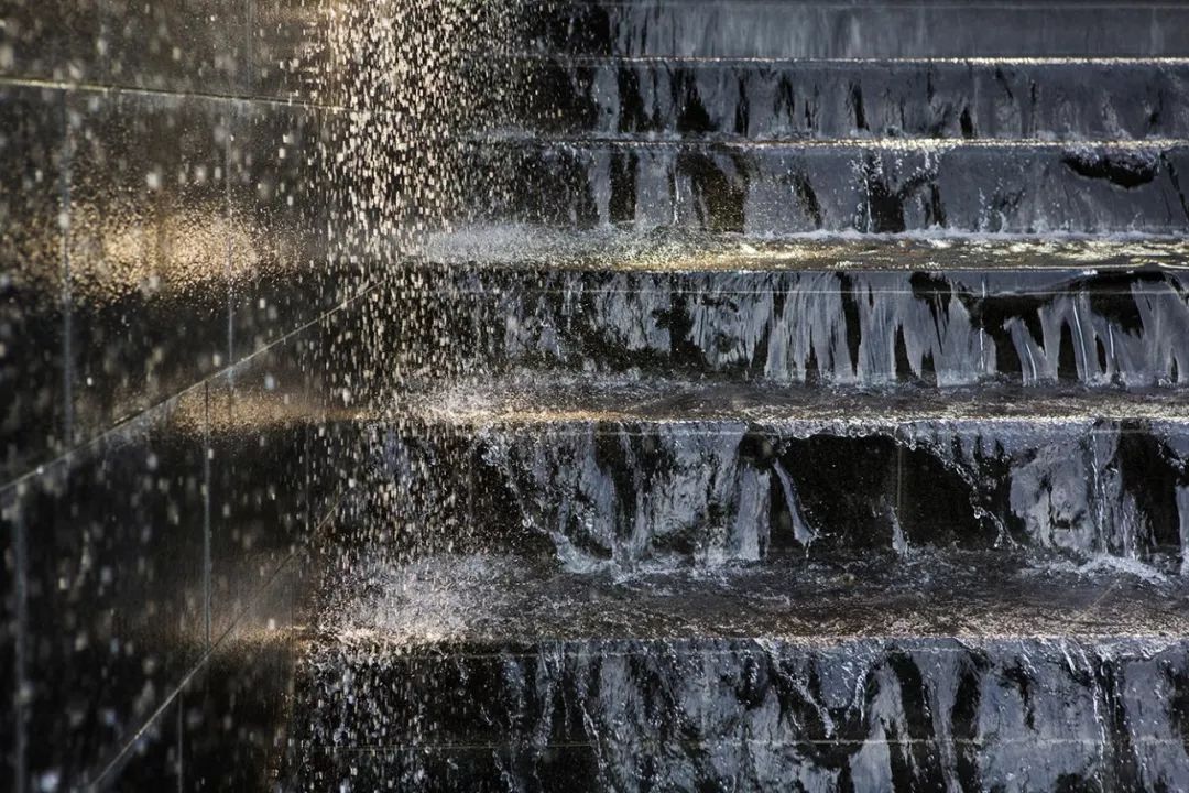 干货收藏 | 花园水景设计养护大全，让你的花园更灵动