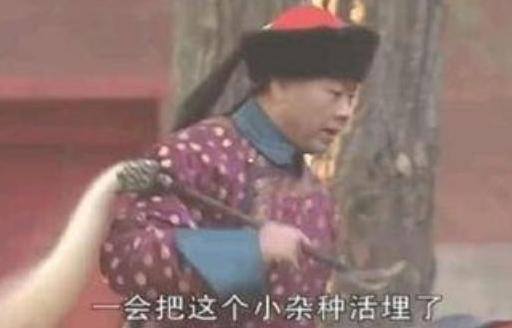 康熙王朝：苏麻喇姑被活埋前，太监们为何要在她头上倒石灰？