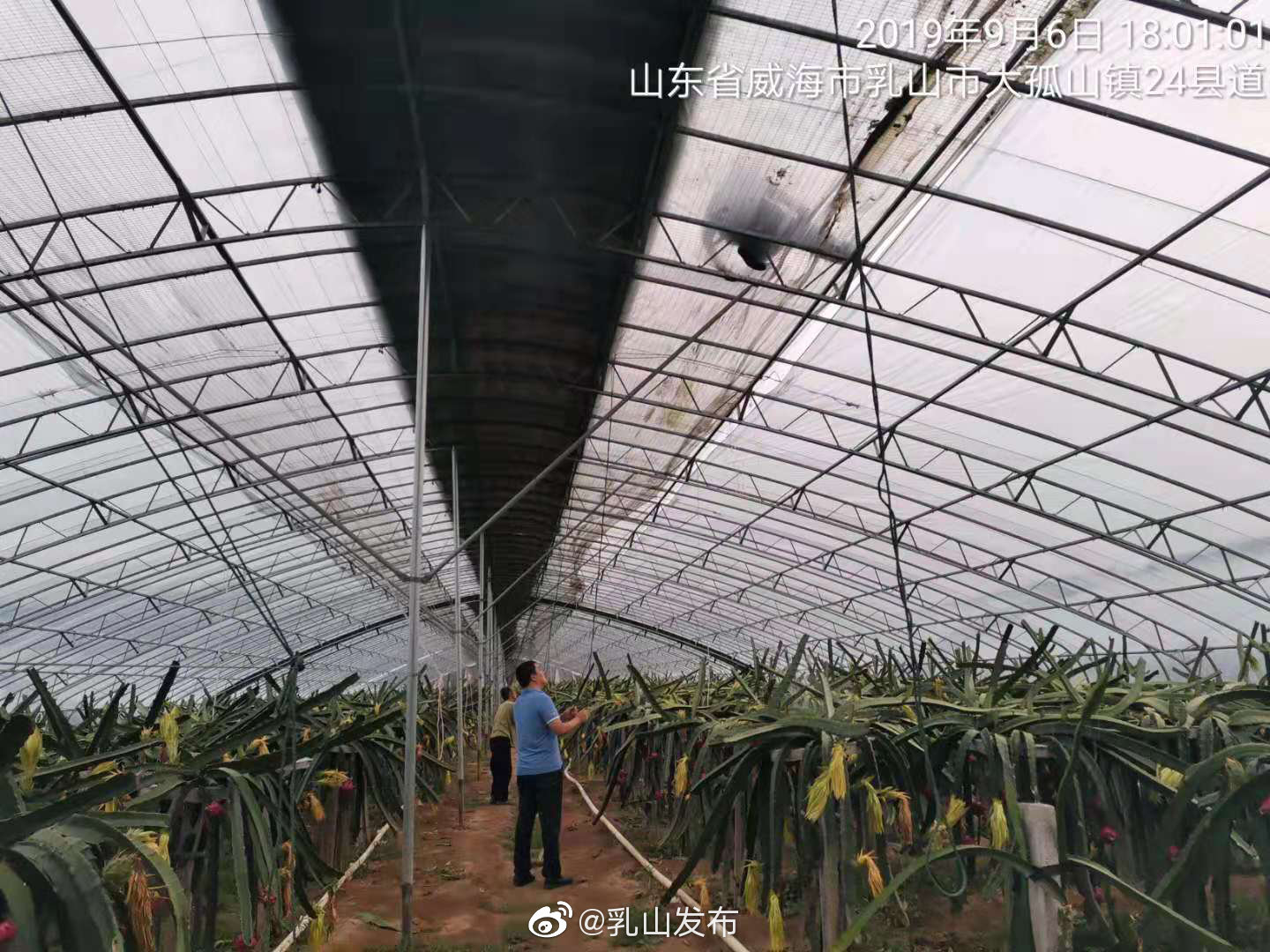 乳山农业农村局深入田间排查农业设施