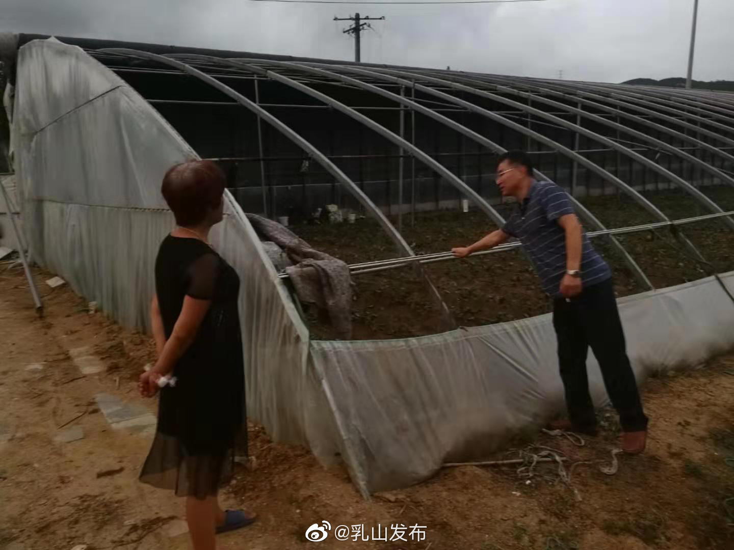 乳山农业农村局深入田间排查农业设施