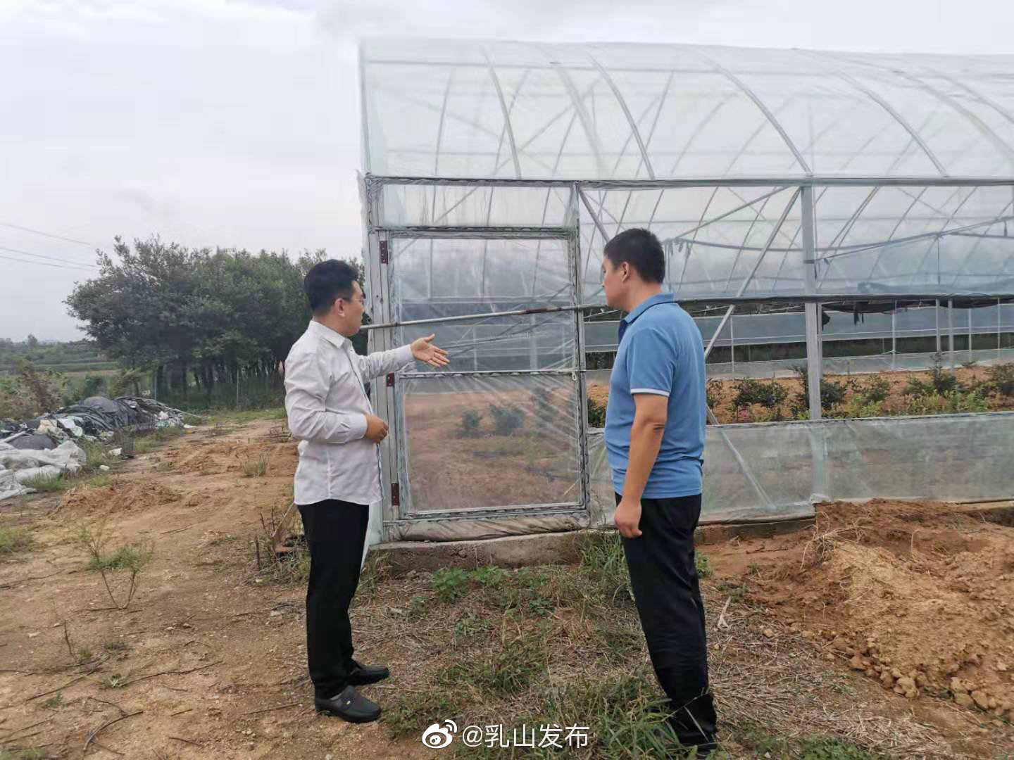 乳山农业农村局深入田间排查农业设施