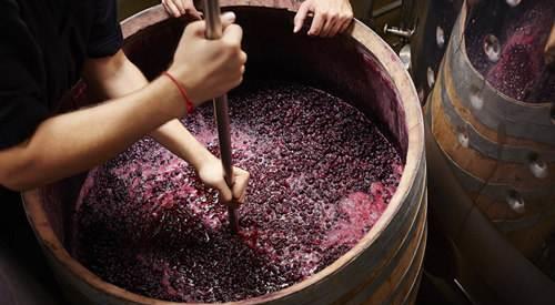 酿制葡萄酒时，为什么不能完全密封？酿酒师：不想没酒喝酒别密封