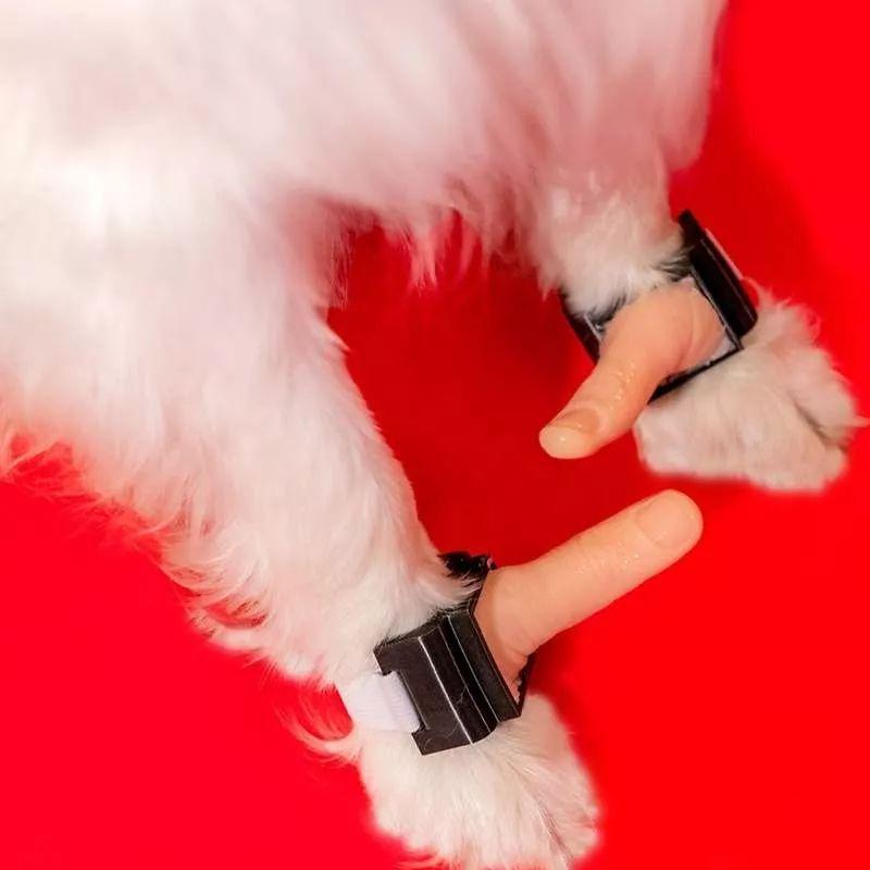 乐高袜子、卷纸耳环...呢位哥记专门发明d无聊嘢?