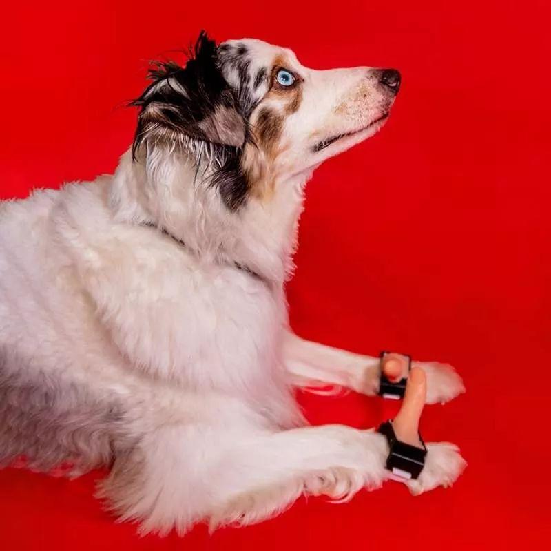 乐高袜子、卷纸耳环...呢位哥记专门发明d无聊嘢?