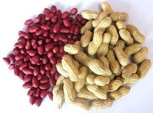 忠告:常吃花生好处多,但有一类人不宜多食,对身体不好