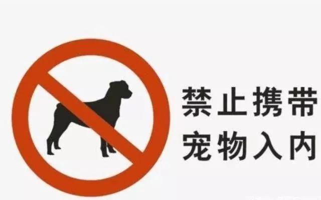 女子在餐馆拿公共餐具喂狗，餐馆老板为此砸碎一百套旧餐具…
