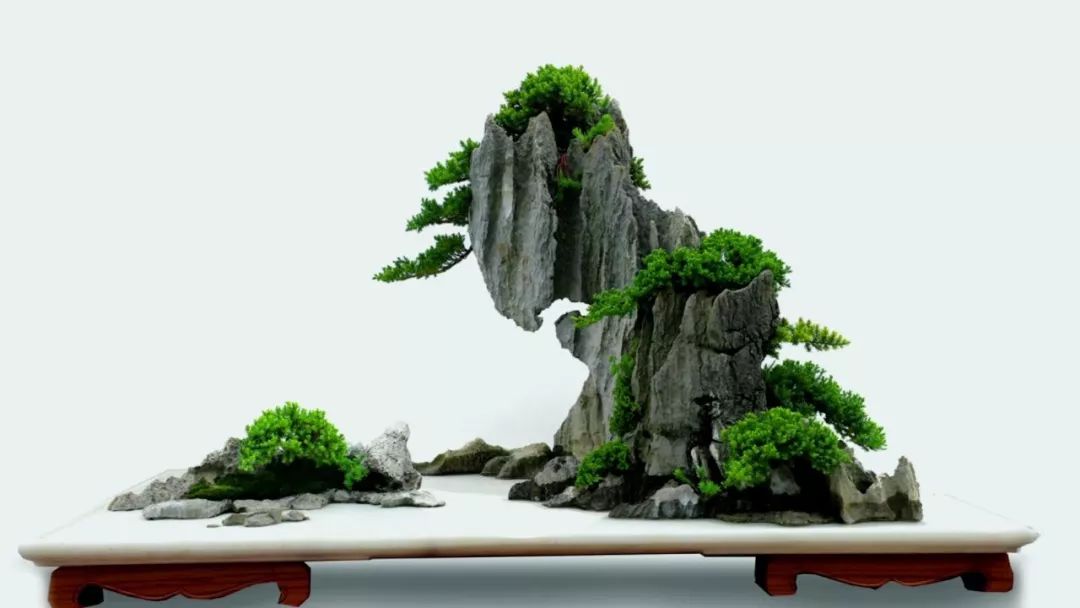 盆景赏石大会·微视频第三集│黔山秀水方寸间
