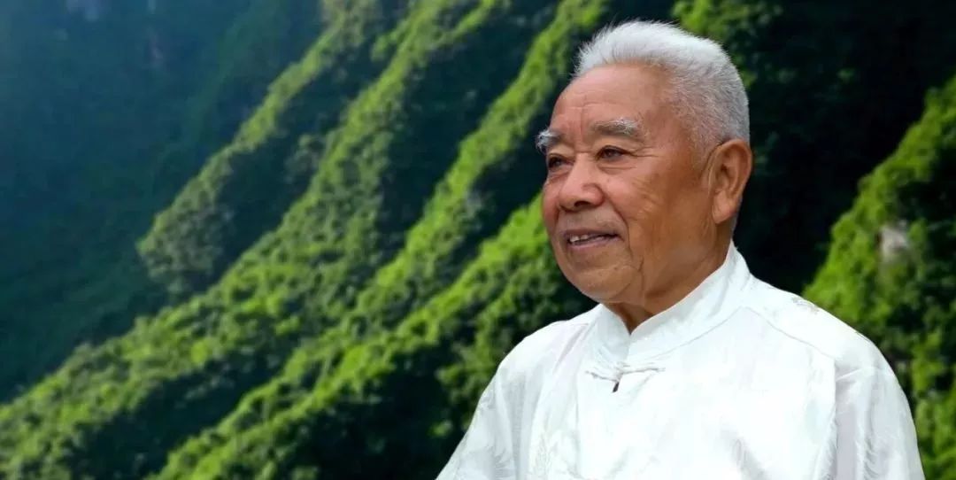 盆景赏石大会·微视频第三集│黔山秀水方寸间