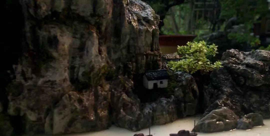 盆景赏石大会·微视频第三集│黔山秀水方寸间