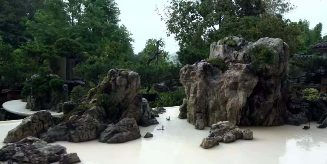 盆景赏石大会·微视频第三集│黔山秀水方寸间
