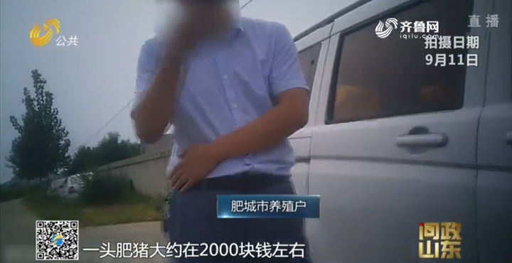 问政山东|生猪有价格指数保险，有的养殖户却不知情