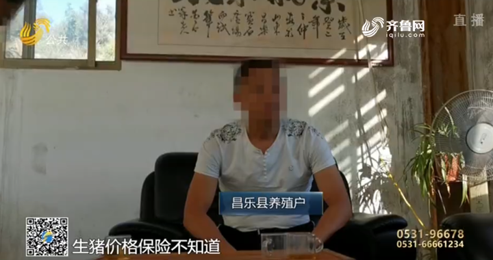 问政山东|生猪有价格指数保险，有的养殖户却不知情