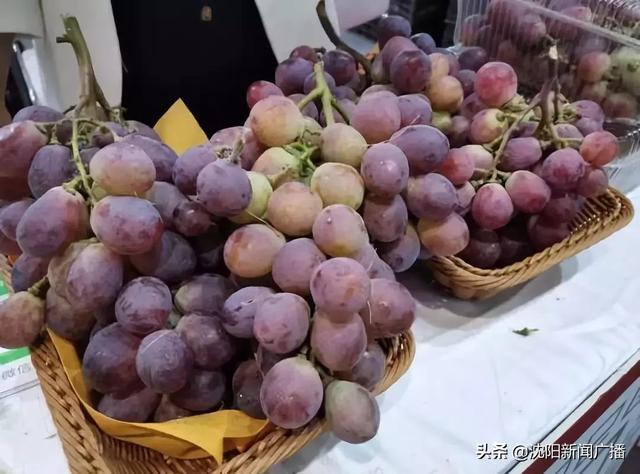 沈阳农产品“十大品牌”都有啥？想买的市民抓紧机会，23号最后一天