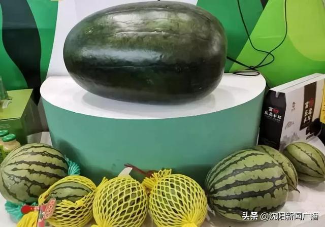 沈阳农产品“十大品牌”都有啥？想买的市民抓紧机会，23号最后一天