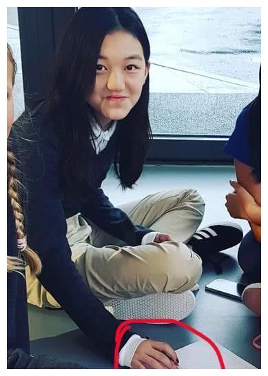 李嫣登贵族学校封面,长得比姐姐更像王菲,校内设施豪华应有尽有