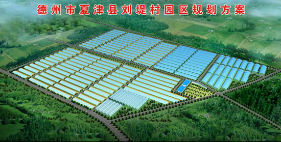 乡村振兴服务队牵线，大型现代设施蔬菜项目落户夏津