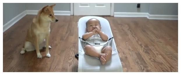 狗狗馋到咽口水,悄悄抢走小主人饼干,被主人发现后表情亮了